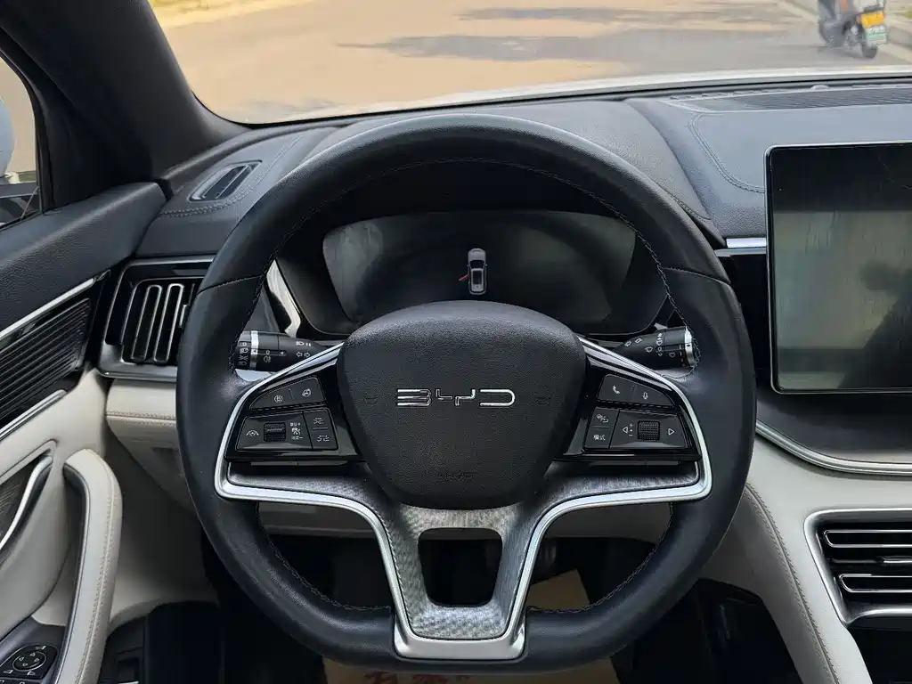 BYD PLUS New Energy 2024 — фото 10