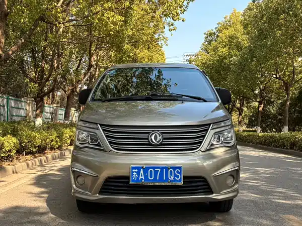 Dongfeng Lingzhi 2019