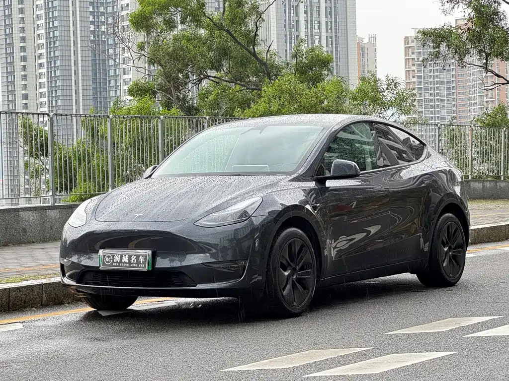 Tesla Model Y 2024 — фото 1