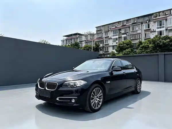 BMW 5 Series New Energy 2017