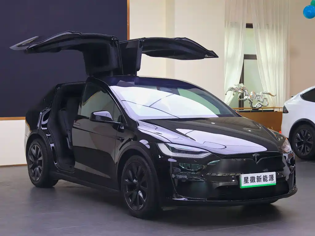Tesla Model X 2023 — фото 3