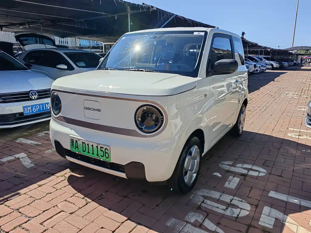 Geely Galaxy Panda 2024 — фото 1