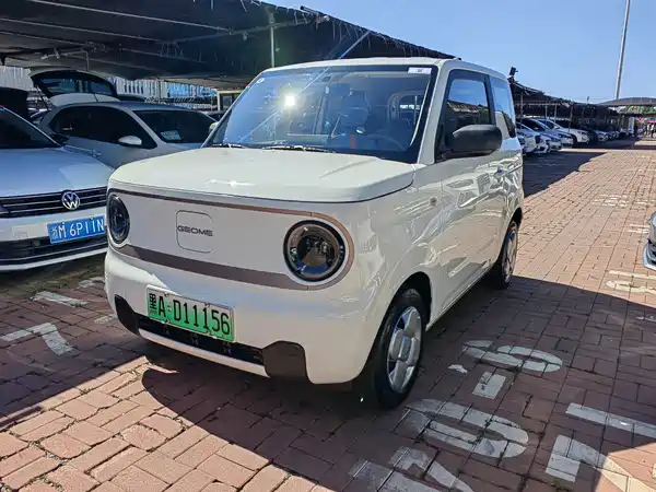 Geely Galaxy Panda 2024