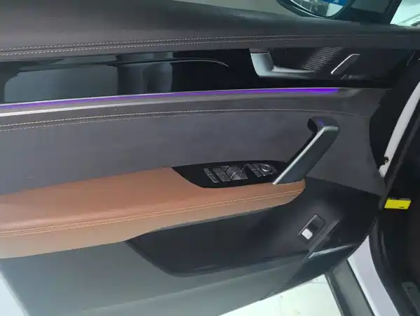BYD Tang New Energy 2022