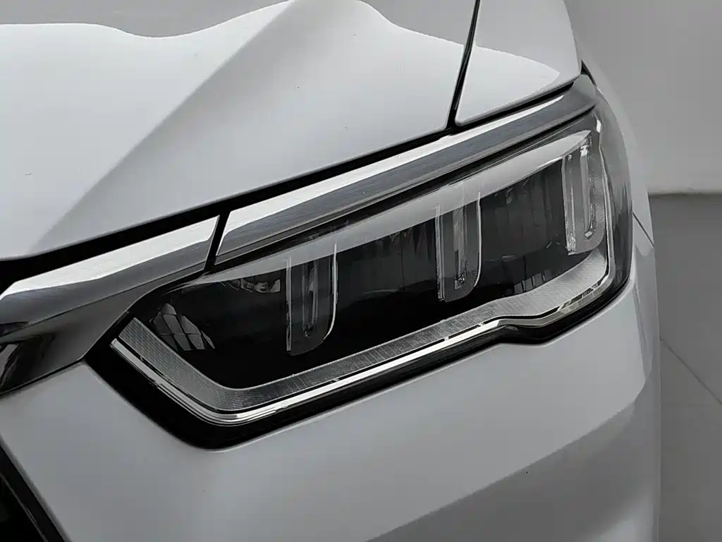BYD Song Pro New Energy 2021 — фото 7