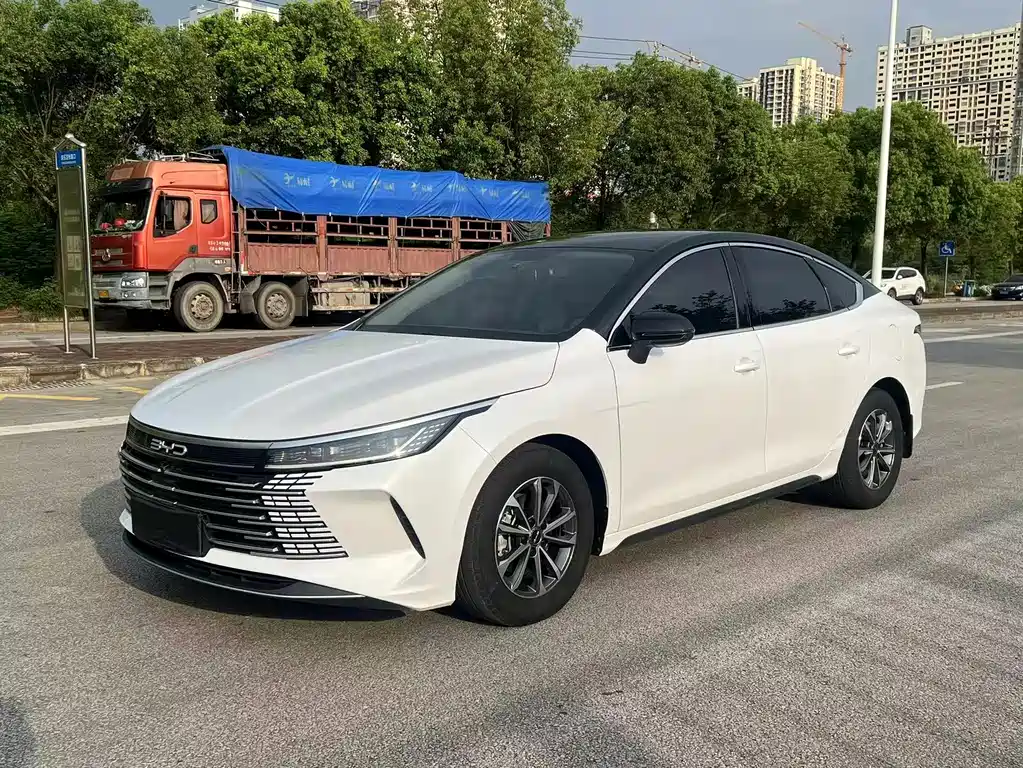 BYD Destroyer 05 2024 — фото 1