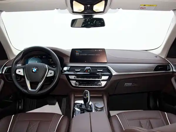 BMW 5 Series New Energy 2020