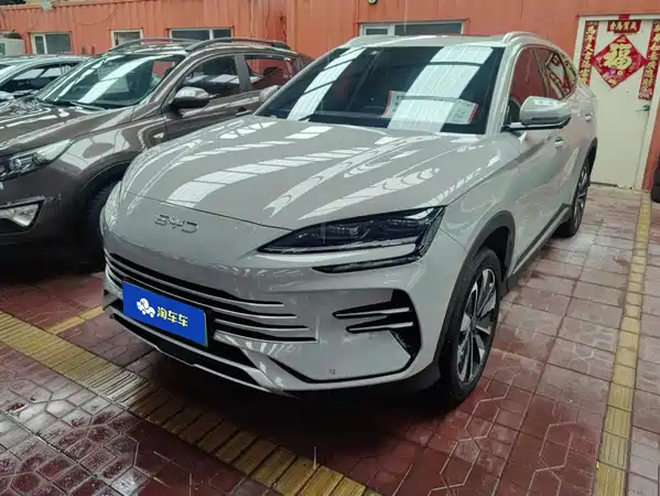 BYD Song PLUS New Energy 2024