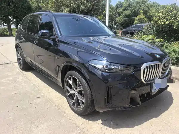 BMW X5 2025