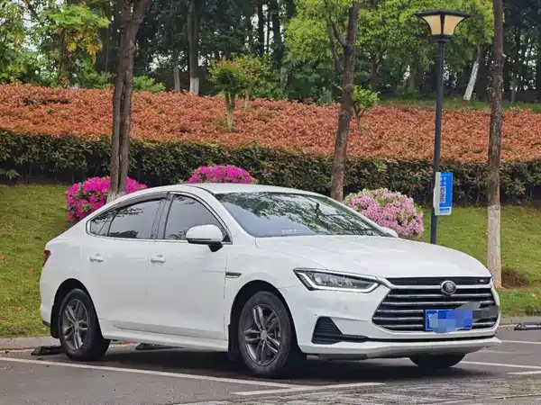 BYD Qin 2020