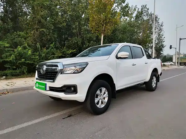 Dongfeng Ruiqi 6 2019