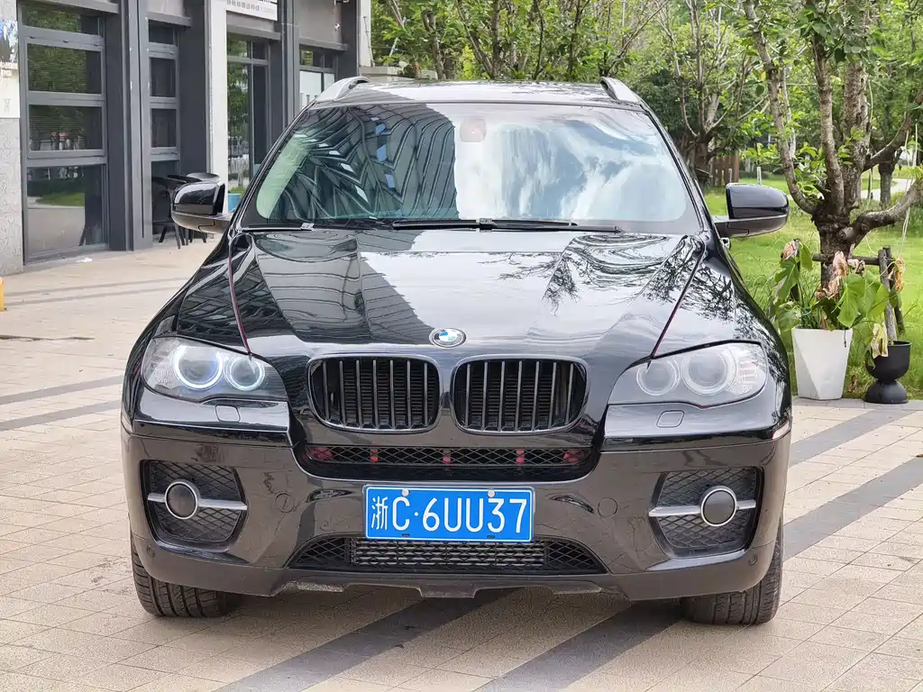 BMW X6 2010