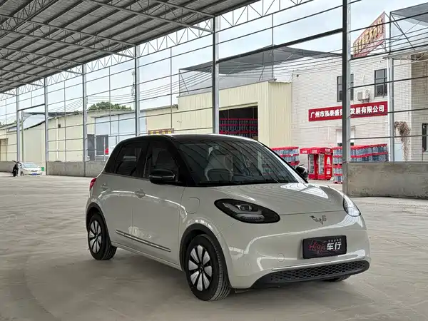 Wuling Bingo 2024