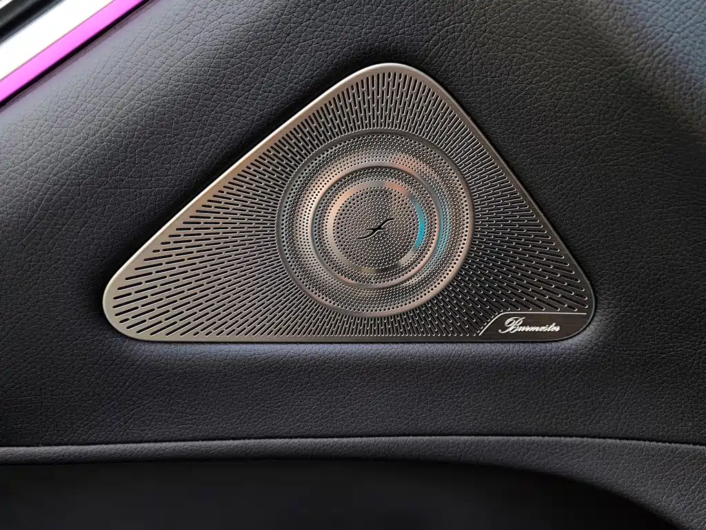 Mercedes-Benz S-Class 2022 — фото 24