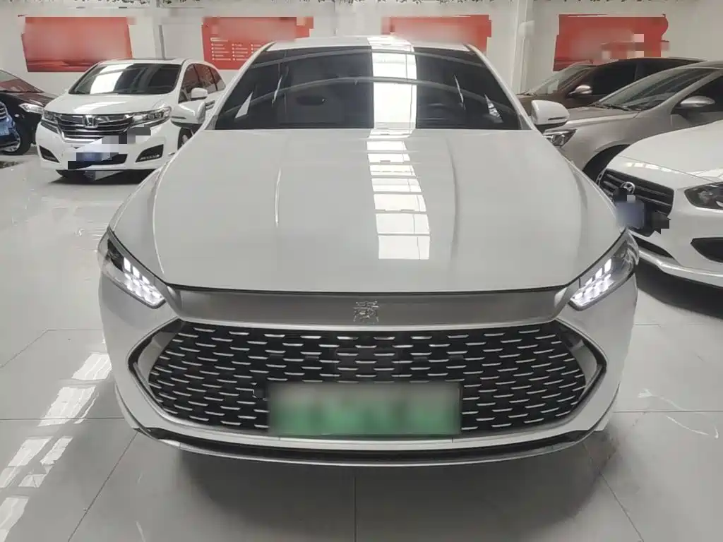 BYD Qin PLUS 2024 — фото 3