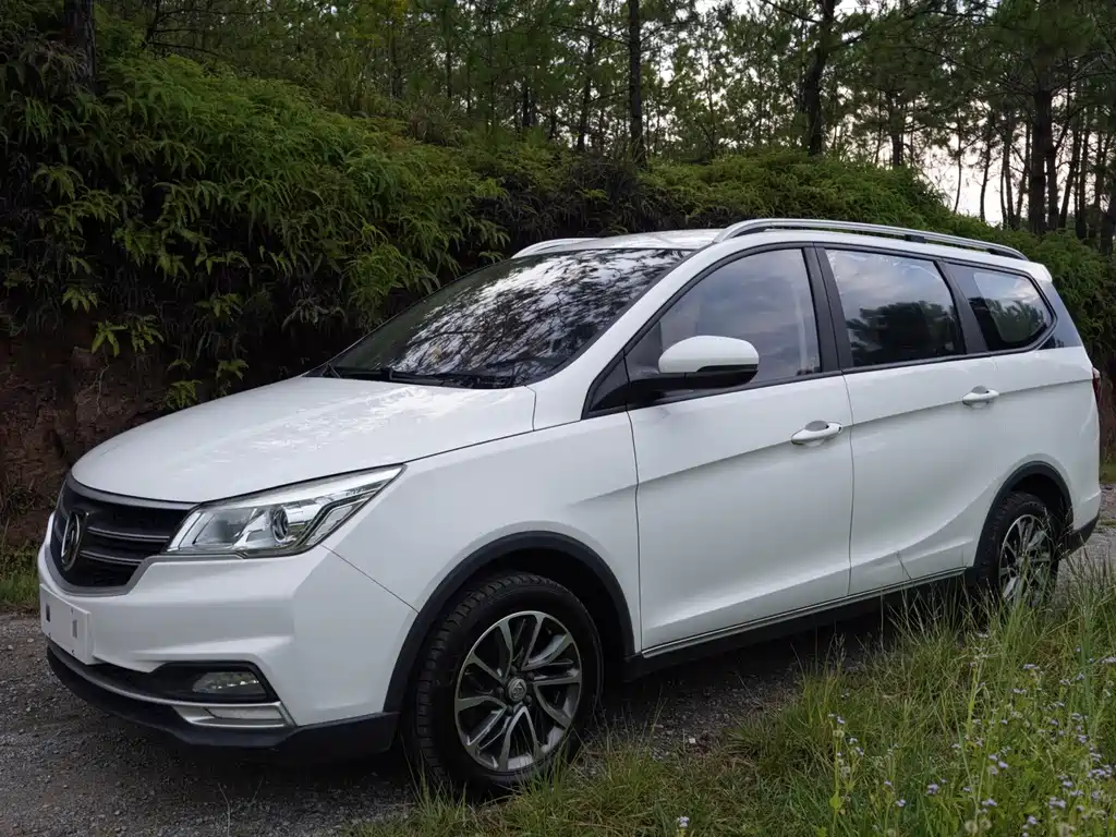 Baojun 730 2019