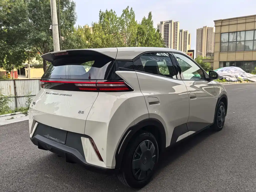 BYD Seagull 2024