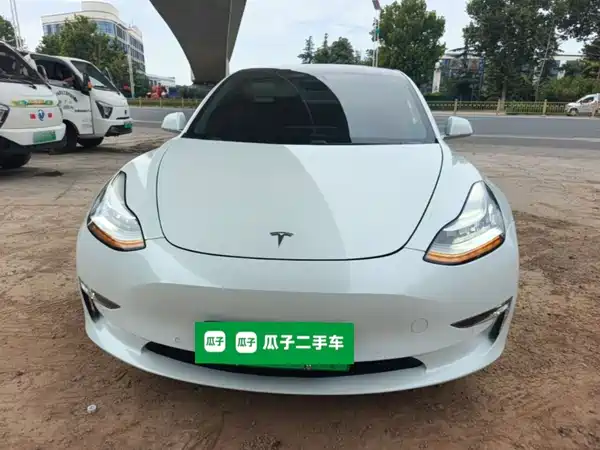 Tesla Model 3 2019