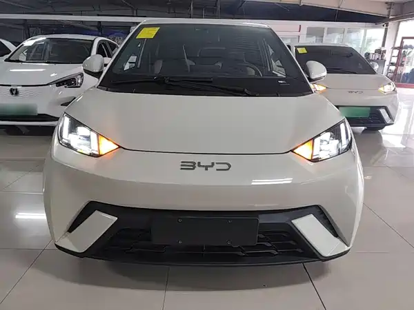BYD Seagull 2024