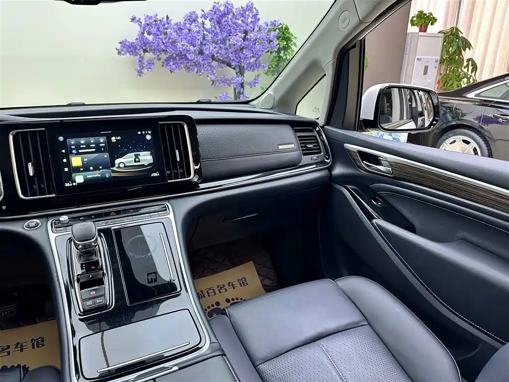GAC Motor Trumpchi M8 2021 — фото 16