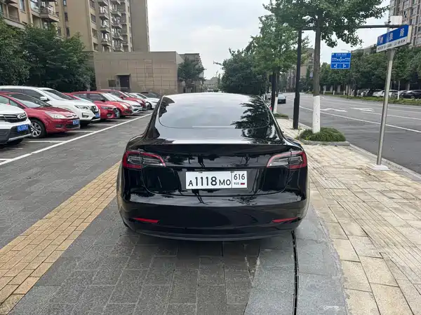 Tesla Model 3 2021