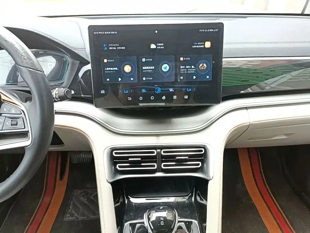 BYD PLUS New Energy 2022 — фото 13