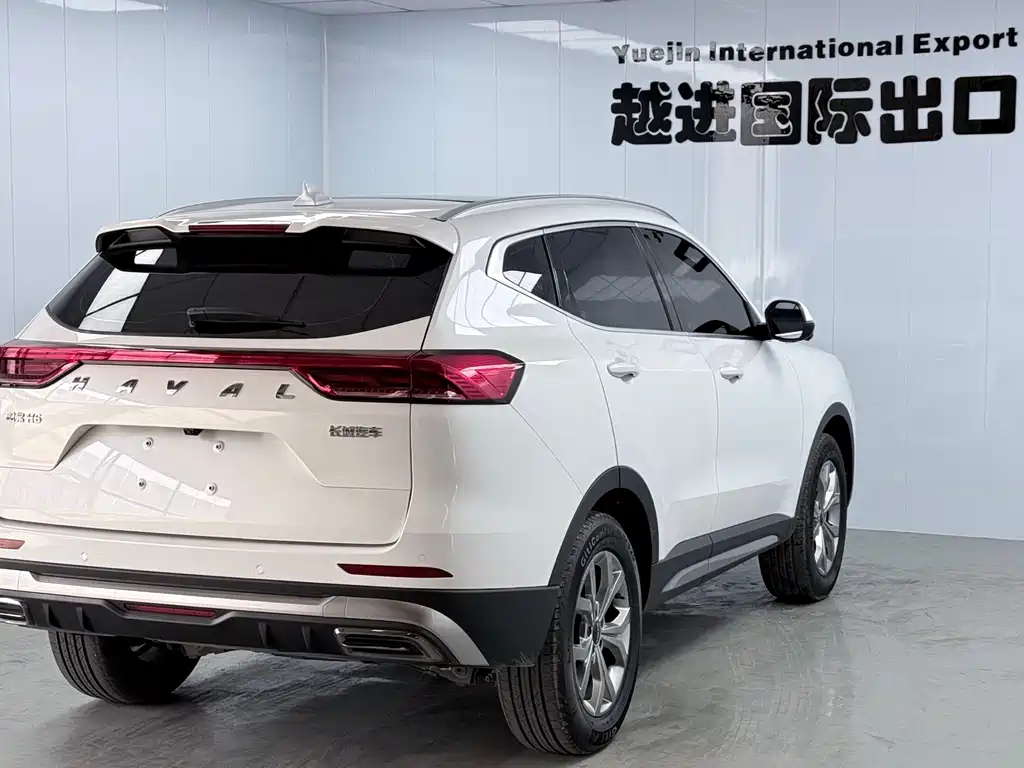 Haval H6 2023 — фото 9
