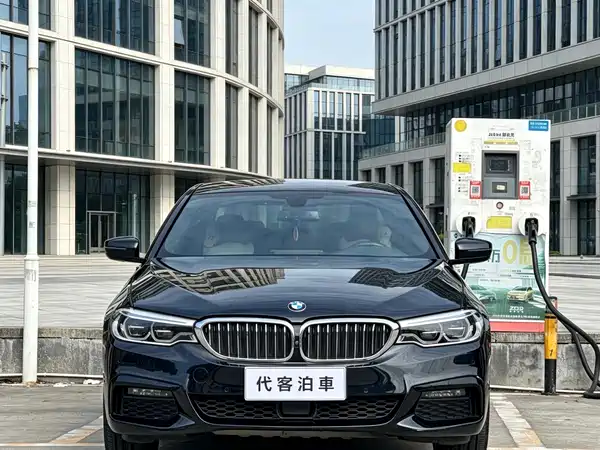 BMW 5 Series 2019