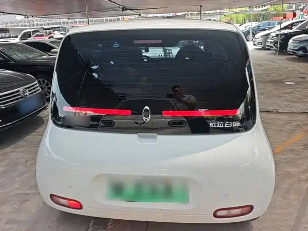 Ora White Cat 2022