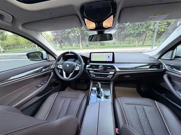 BMW 5 Series 2021