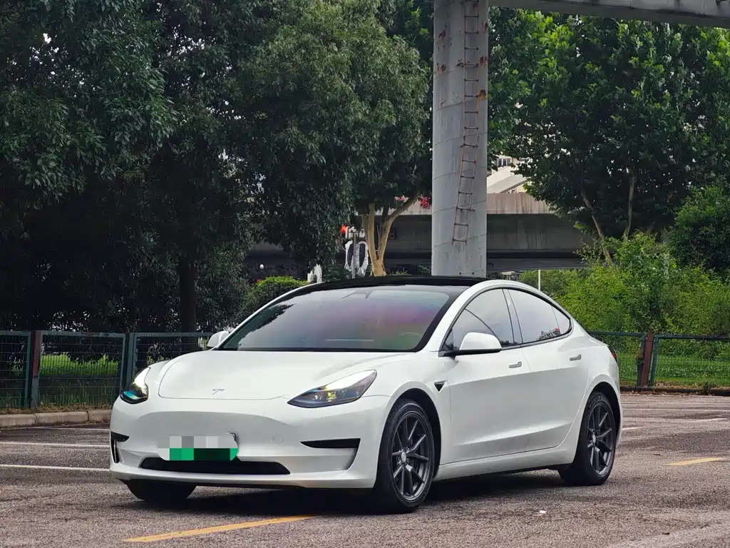 Tesla Model 3 2021 — фото 1