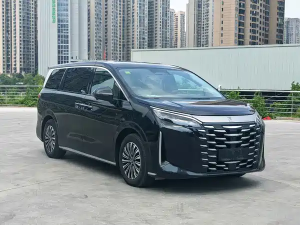 BYD Summer 2025
