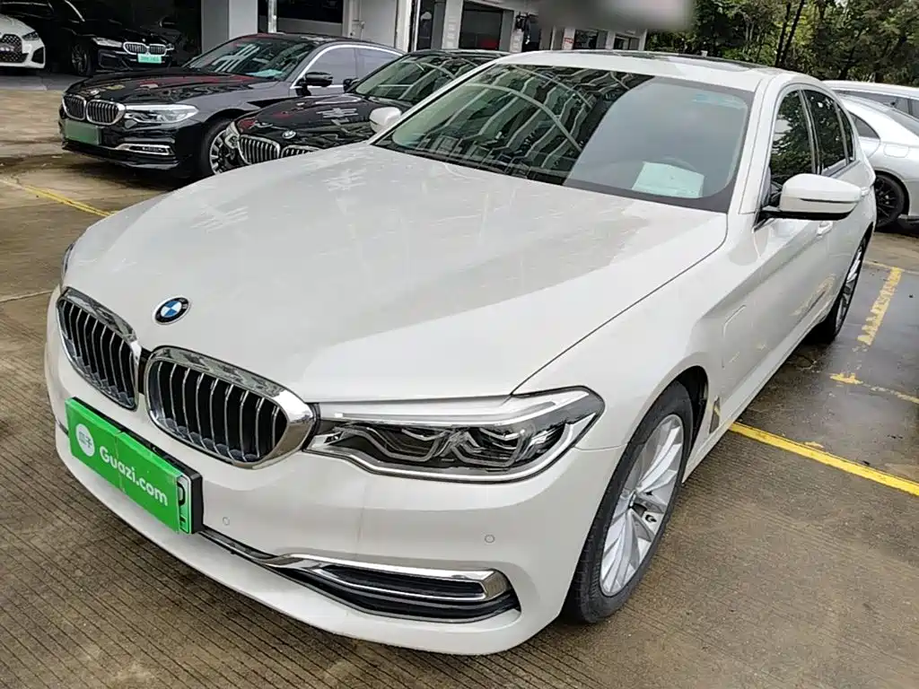 BMW 5 Series New Energy 2020
