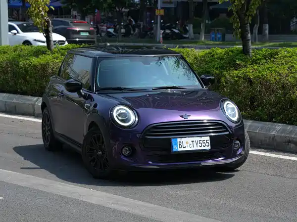 MINI 2019