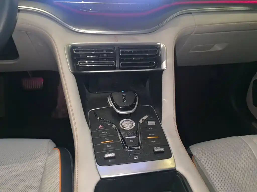 BYD Song PLUS New Energy 2023 — фото 14