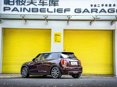 MINI MINI 2020