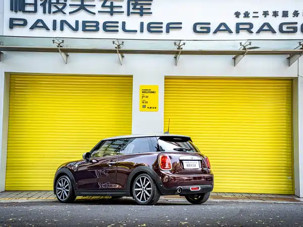 MINI 2020