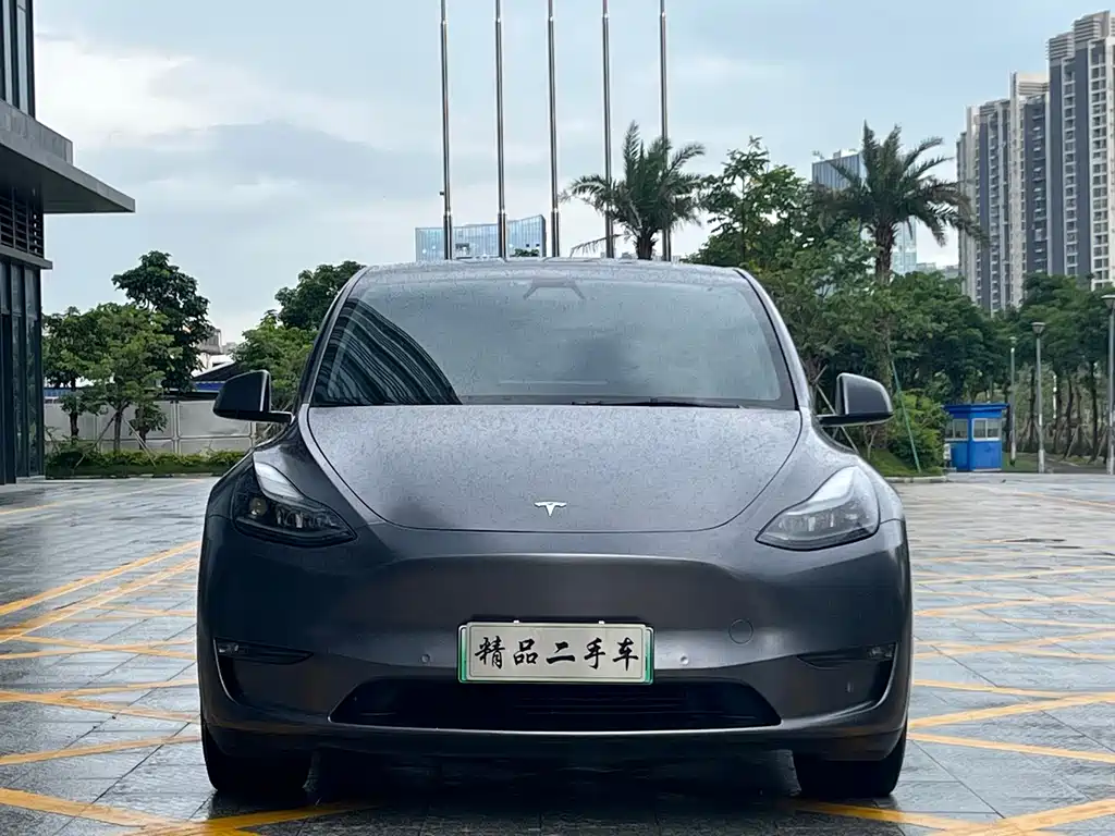 Tesla Model Y 2021 — фото 2