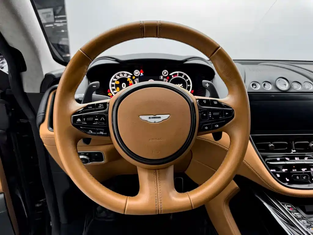 Aston Martin DBX 2021 — фото 16