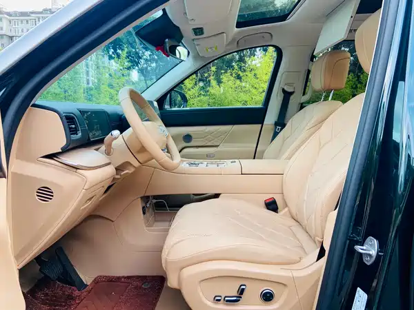 Chery Fengyun T11 2026