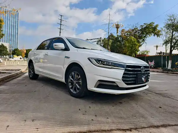 BYD Qin 2019