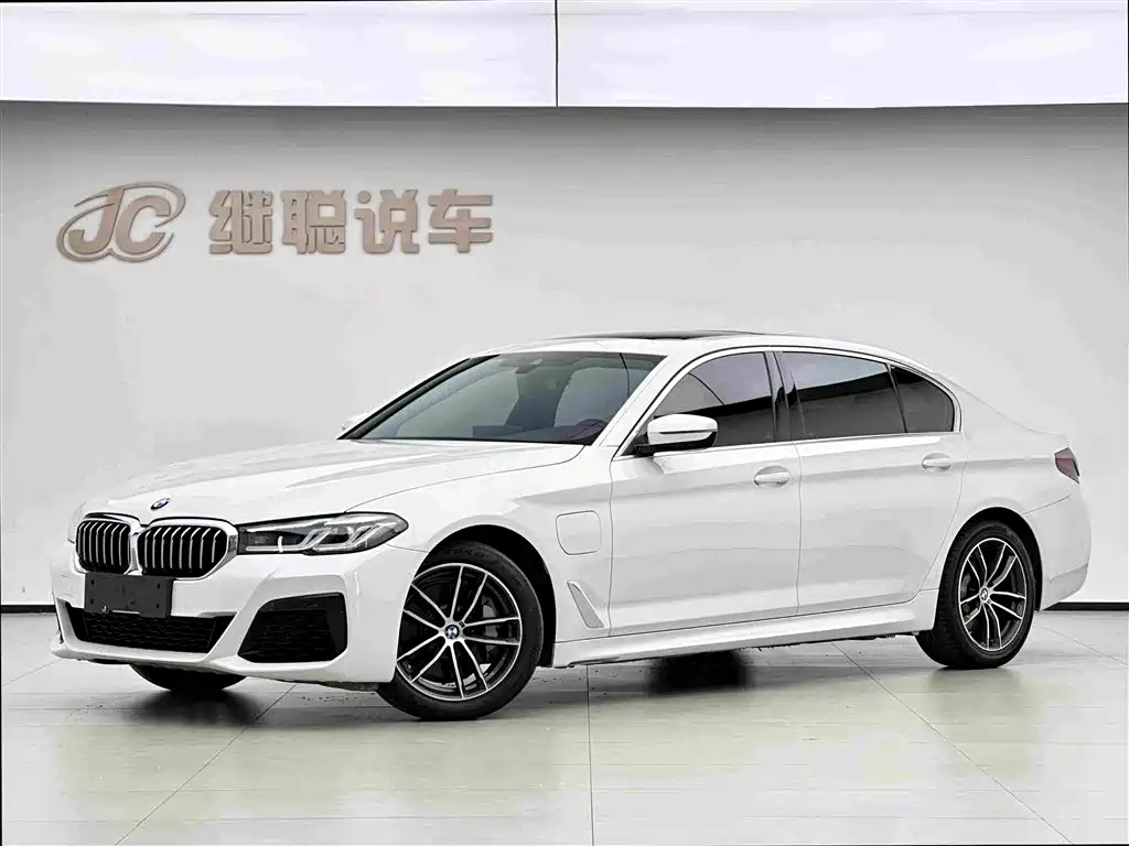 BMW 5 Series New Energy 2021