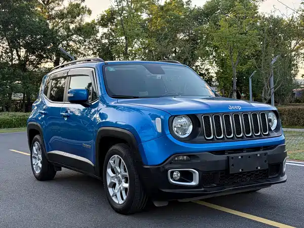 Jeep Freeman 2017