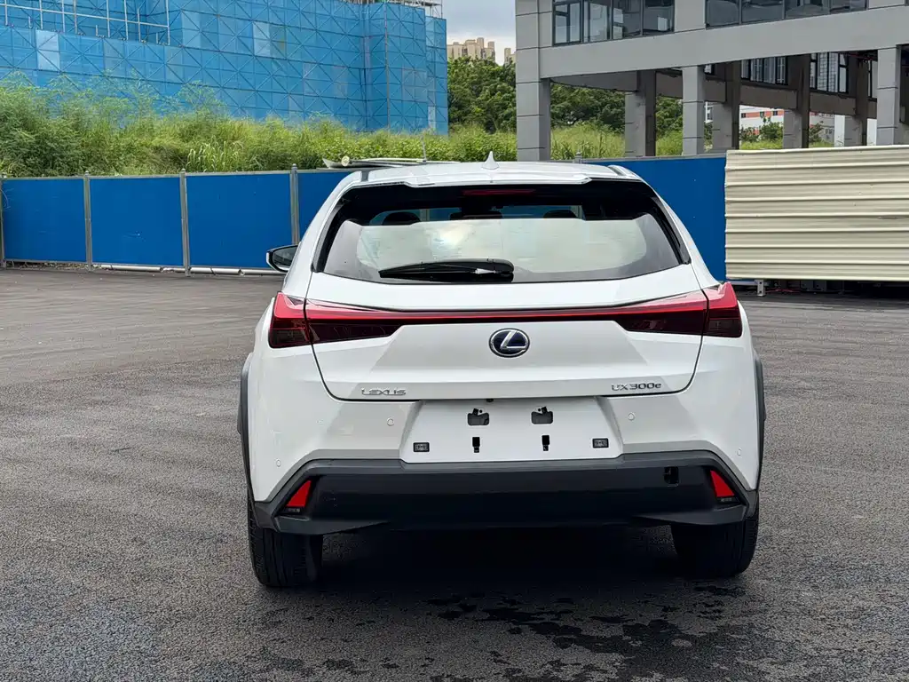 Lexus UX New Energy 2022 — фото 11