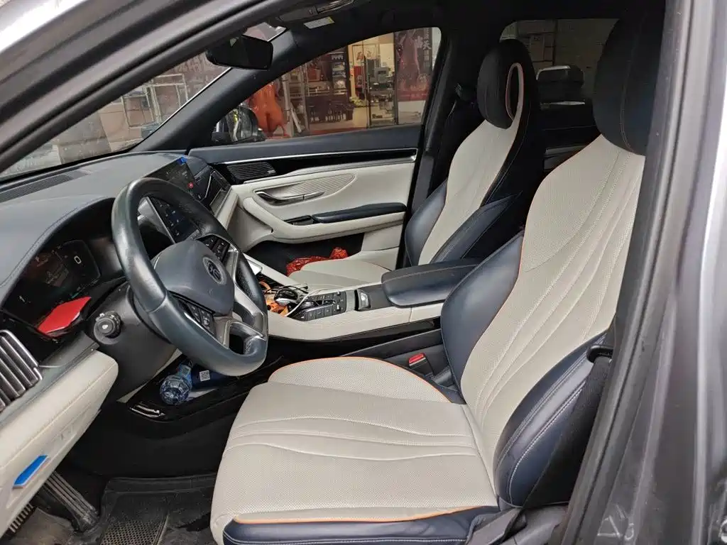 BYD Song PLUS New Energy 2022 — фото 8