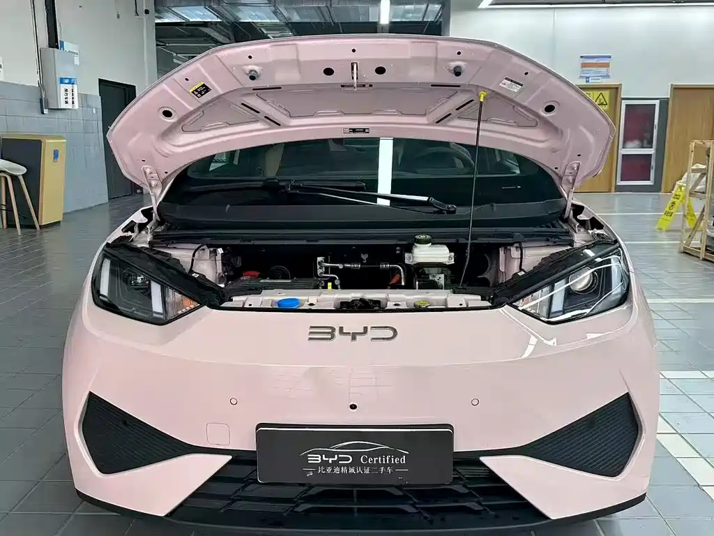 BYD Seagull 2025