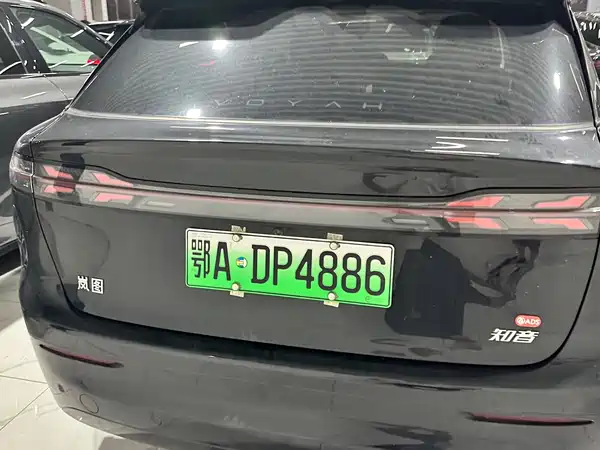 Voyah Zhiyin 2025