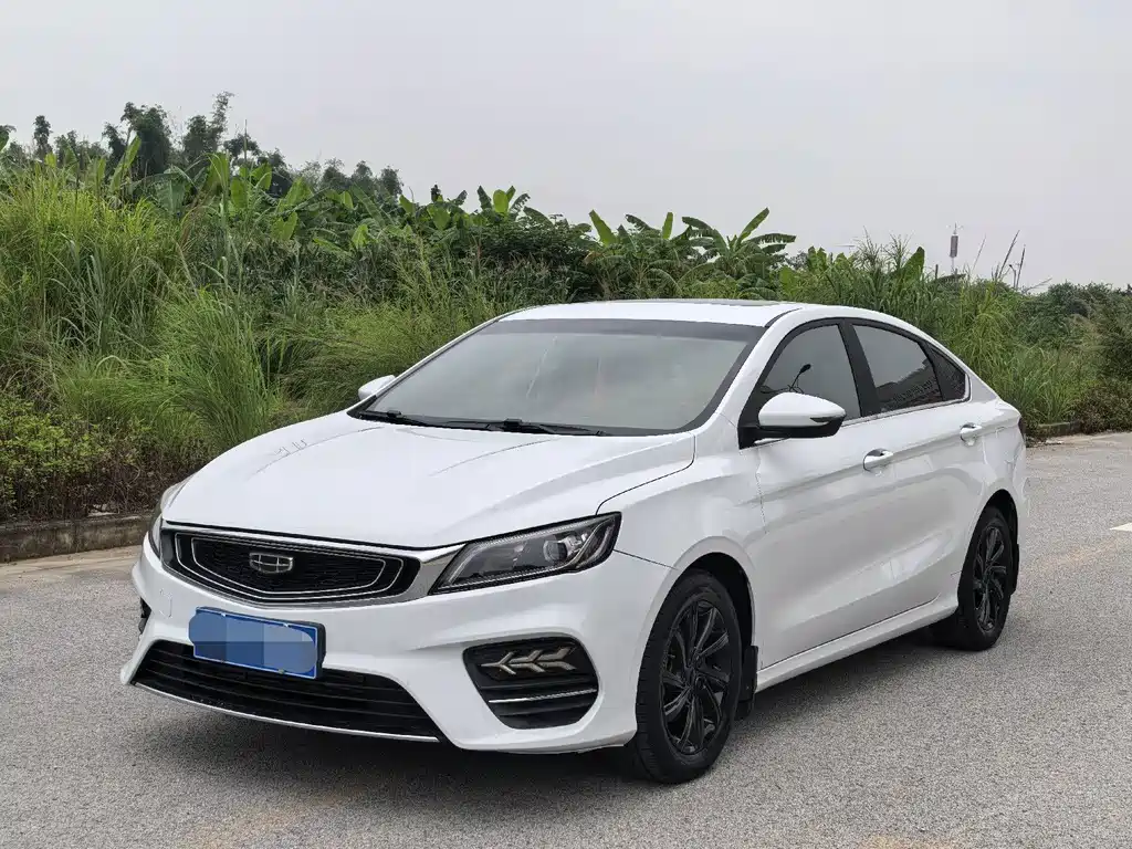 Geely Binrui 2019
