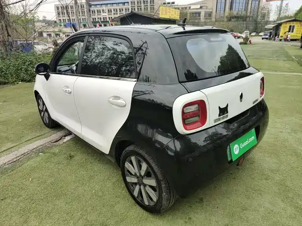 Ora Black Cat 2021