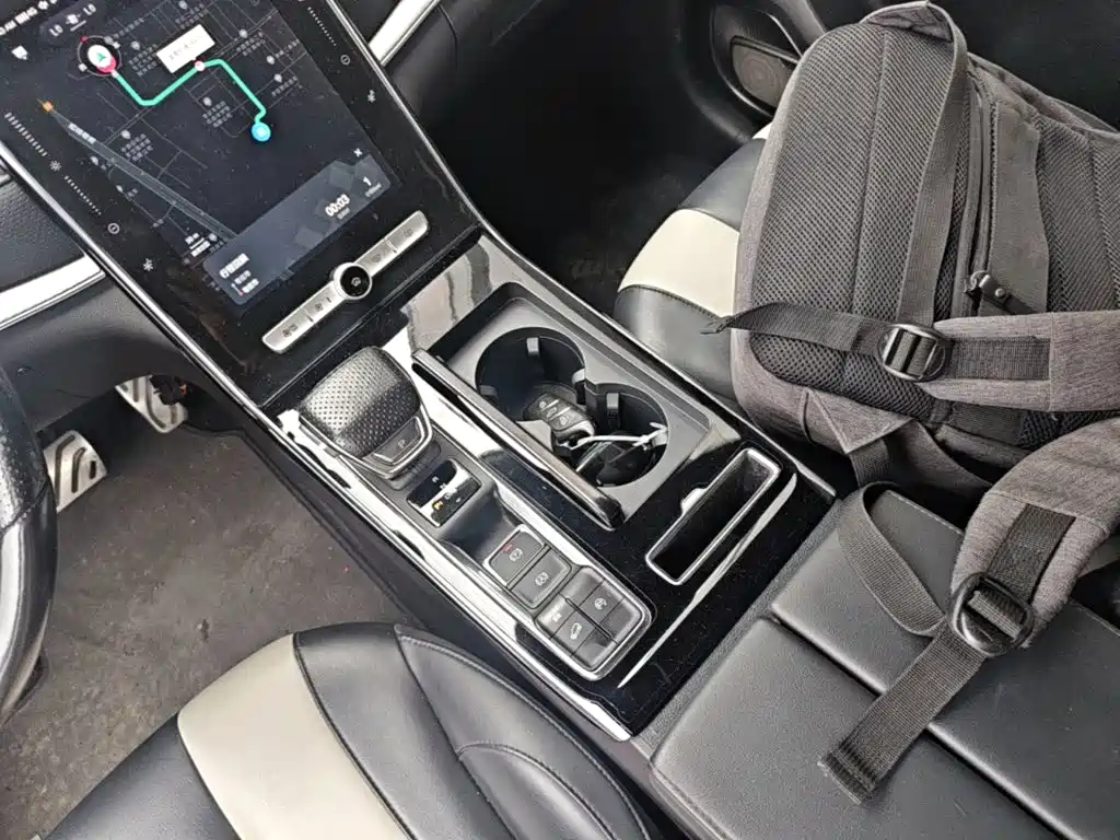 Roewe RX5 MAX 2020 — фото 14